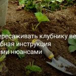 Головна