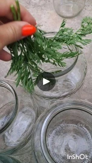 Як смачно закрити кавун на зиму