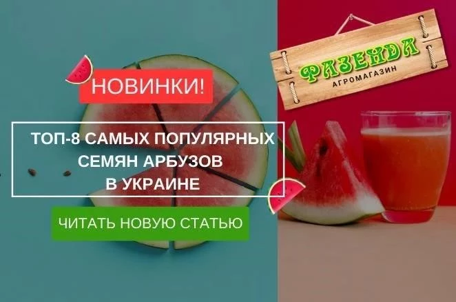 Найсолодші сорти кавунів