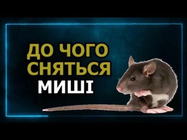 До чого сняться Миші: тлумачення снів і приховані значення